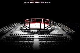 MMA Octagon MMA Octagon
